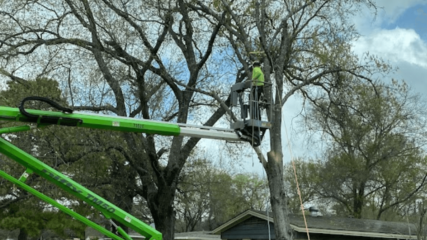 tree-pruning-with-lift