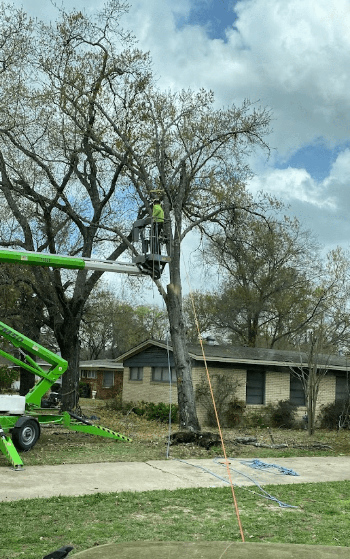 Emergency Tree Service Near Me