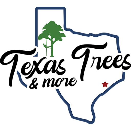 Texas Trees & More